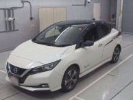 2018 Nissan Leaf