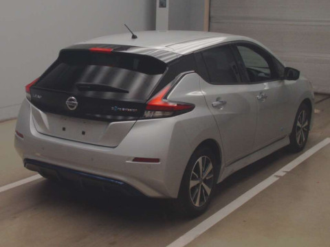 2019 Nissan Leaf ZE1[1]