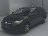 2009 Toyota Corolla Fielder