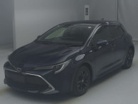 2020 Toyota Corolla Sports