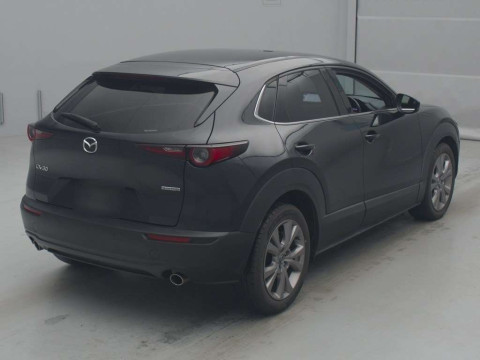 2019 Mazda CX-30 DM8P[1]