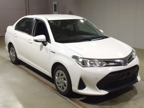 2019 Toyota Corolla Axio NKE165[2]