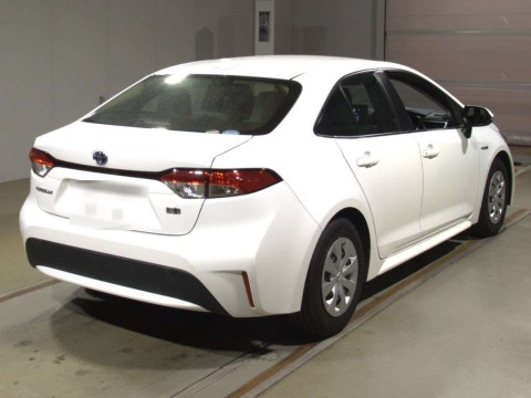 2019 Toyota Corolla Sedan ZWE211[1]