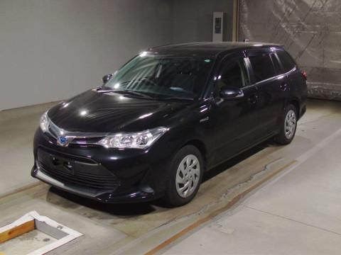 2020 Toyota Corolla Fielder NKE165G[0]