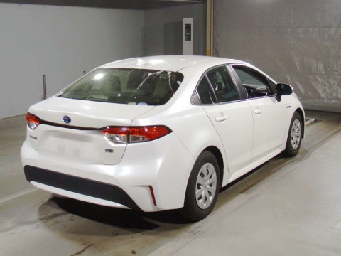 2019 Toyota Corolla Sedan ZWE211[1]