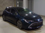 2019 Toyota Corolla Sports