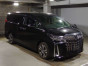 2021 Toyota Alphard