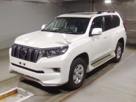 2019 Toyota Land Cruiser Prado