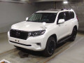 2019 Toyota Land Cruiser Prado