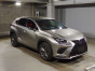 2019 Lexus NX