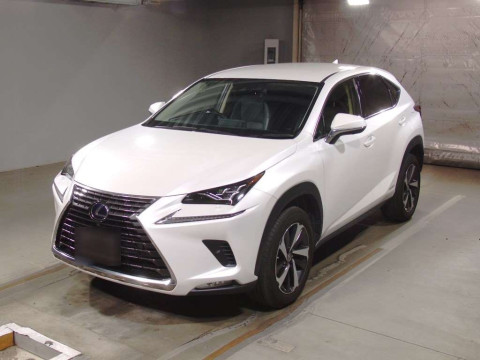 2019 Lexus NX AYZ10[0]