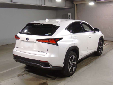 2019 Lexus NX AYZ10[1]