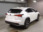 2019 Lexus NX