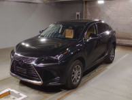 2020 Lexus NX