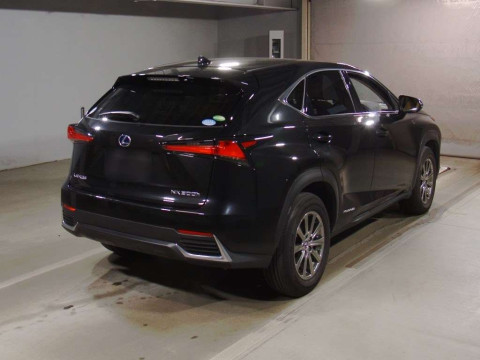 2020 Lexus NX AYZ10[1]