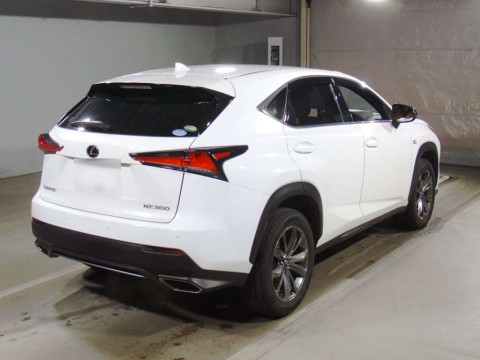 2019 Lexus NX AGZ15[1]