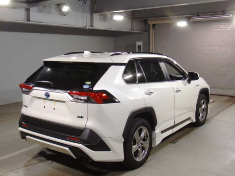 2019 Toyota RAV4 AXAH54[1]