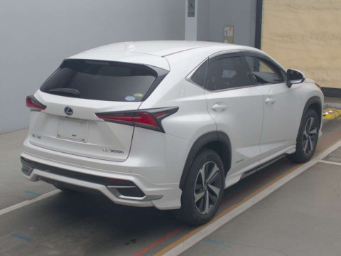 2018 Lexus NX AYZ15[1]