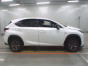 2019 Lexus NX