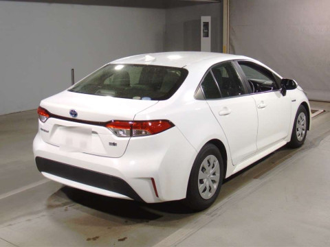 2019 Toyota Corolla Sedan ZWE211[1]