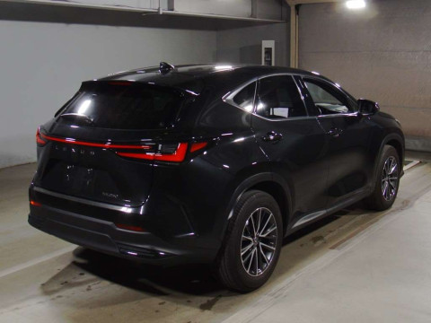 2022 Lexus NX AAZA20[1]