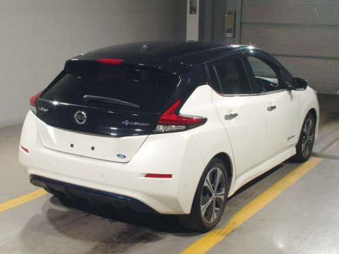 2018 Nissan Leaf ZE1[1]