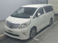 2010 Toyota Alphard