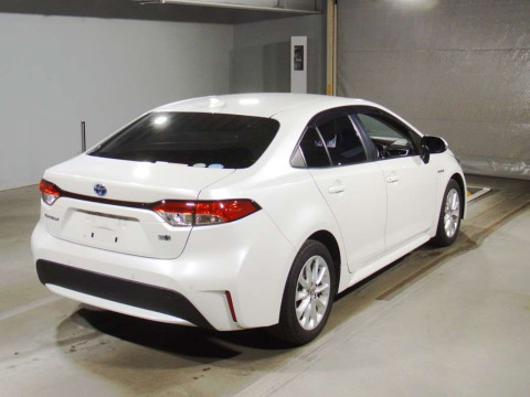 2019 Toyota Corolla Sedan ZWE211[1]