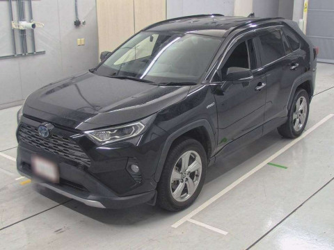 2019 Toyota RAV4 AXAH54[0]