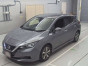 2020 Nissan Leaf