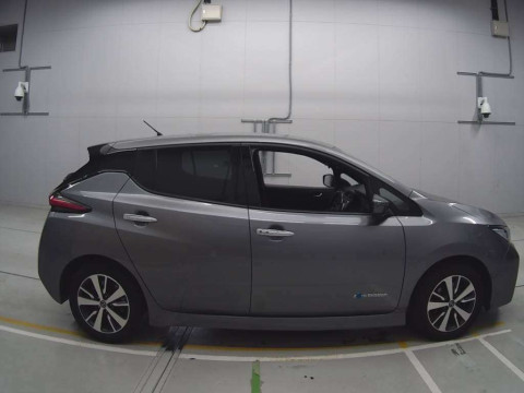 2020 Nissan Leaf ZE1[2]