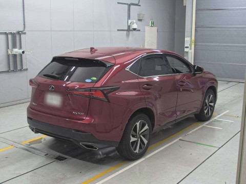 2019 Lexus NX AGZ15[1]