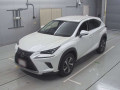 2018 Lexus NX