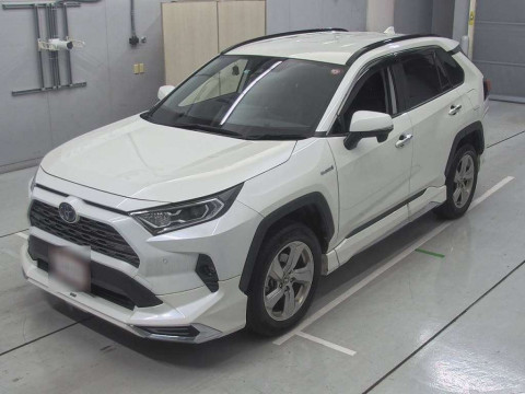 2019 Toyota RAV4 AXAH54[0]