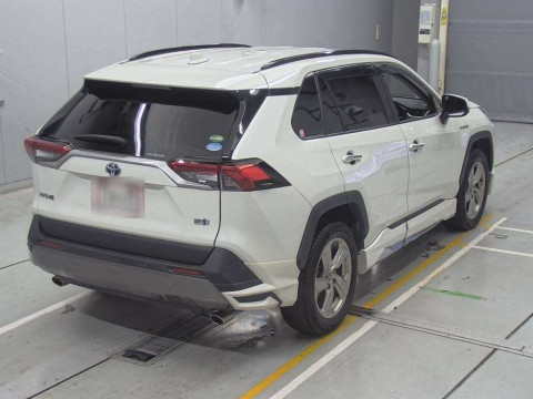 2019 Toyota RAV4 AXAH54[1]