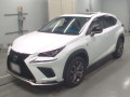 2020 Lexus NX