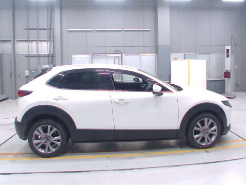 2019 Mazda CX-30 DMEP[2]