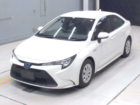 2019 Toyota Corolla Sedan ZWE211[0]