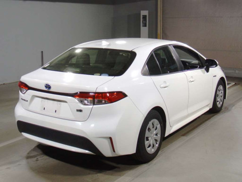 2019 Toyota Corolla Sedan ZWE211[1]