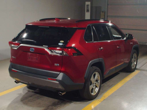 2019 Toyota RAV4 AXAH54[1]