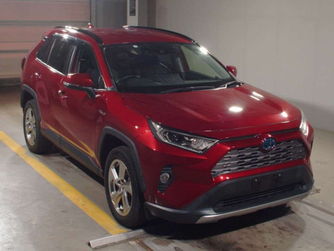 2019 Toyota RAV4 AXAH54[2]