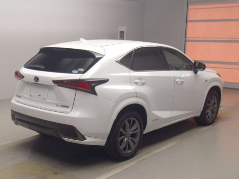 2019 Lexus NX AYZ15[1]