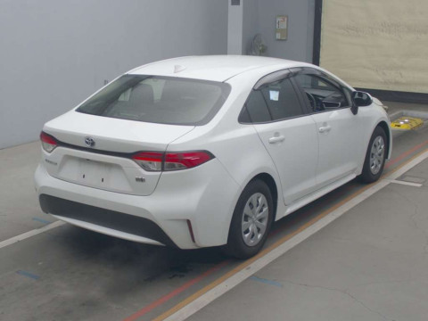 2021 Toyota Corolla Sedan ZWE214[1]