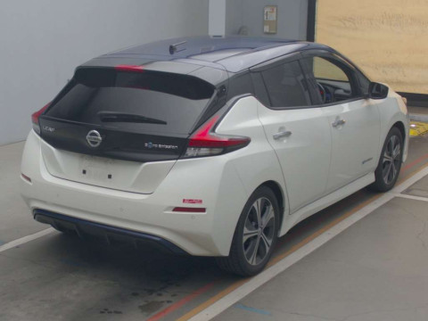 2018 Nissan Leaf ZE1[1]