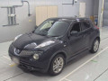 2011 Nissan JUKE