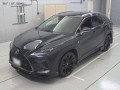 2020 Lexus RX