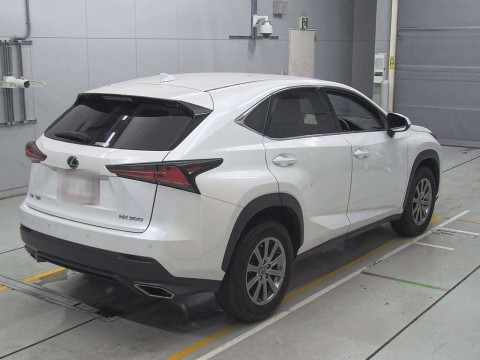 2020 Lexus NX AGZ10[1]