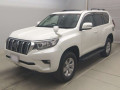 2019 Toyota Land Cruiser Prado