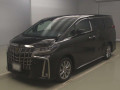 2021 Toyota Alphard