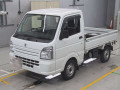 2019 Suzuki Carry Truck